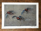 Three Grouse Framed / Prints by Jack Fetherstonhaugh – photo 1 of 5