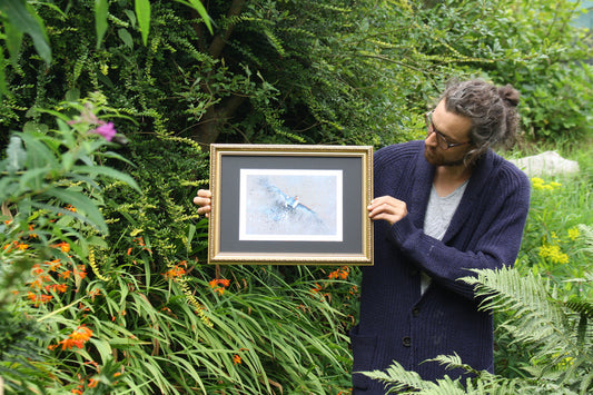 Framed English Partridge