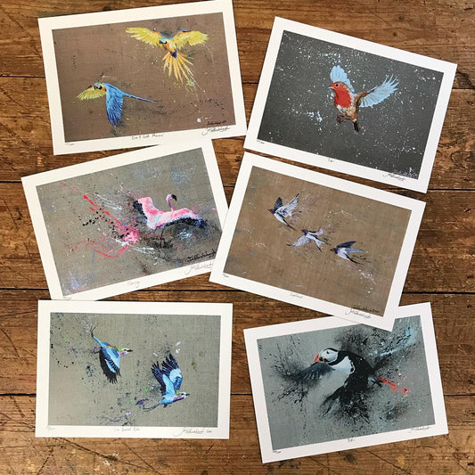 6 Classic Bird Prints.. Sale!