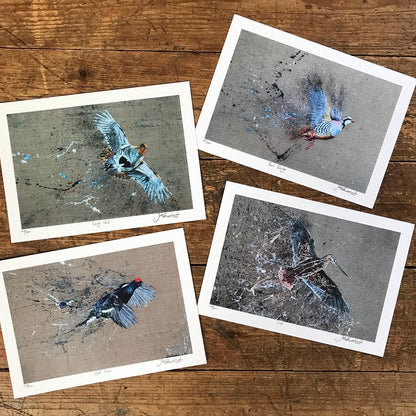 Game Bird Print Collection by Jack Fetherstonhaugh – photo 2 of 8