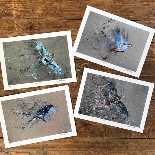 Game Bird Print Collection