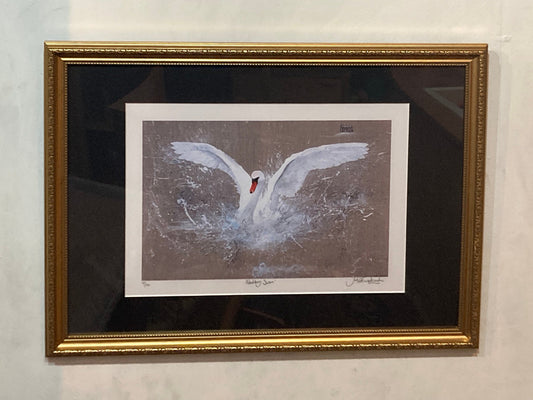 Framed Abbotsbury Swan