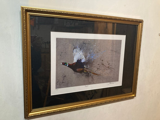 Framed Original Pheasant
