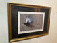 Framed Original Pheasant by Jack Fetherstonhaugh – photo 2 of 3
