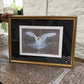 Framed Abbotsbury Swan by Jack Fetherstonhaugh – photo 4 of 9