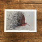 Woodcock & Partridge by Jack Fetherstonhaugh – photo 3 of 3