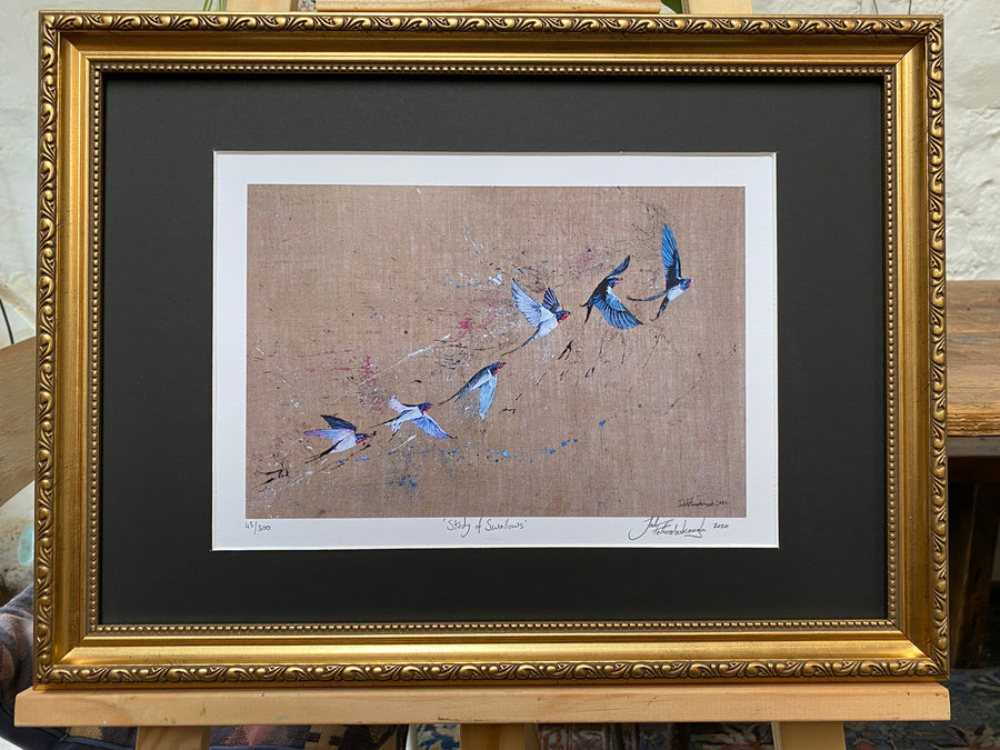 Framed Study of Swallows