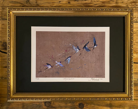 Framed Study of Swallows