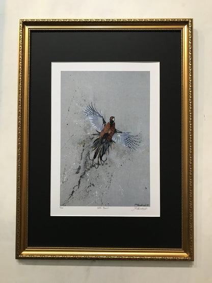 Framed Golden Pheasant by Jack Fetherstonhaugh – photo 1 of 7