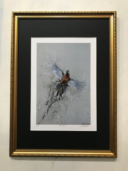 Framed Golden Pheasant