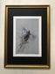 Framed Golden Pheasant by Jack Fetherstonhaugh – photo 1 of 7