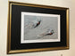 Framed Pair of Golden Pheasants by Jack Fetherstonhaugh – photo 2 of 2