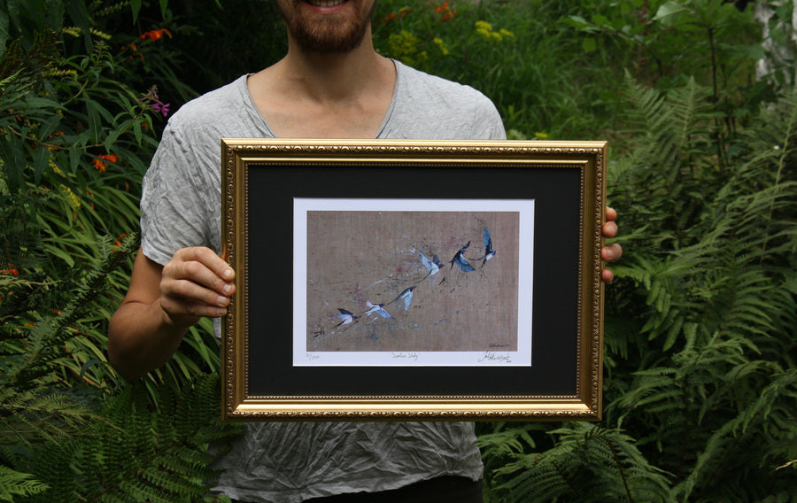 Study of Swallows Prints