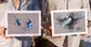 Classic British Bird Prints by Jack Fetherstonhaugh – photo 2 of 9