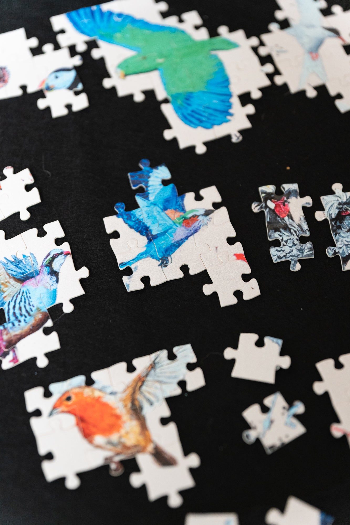 46 Bird 1000 piece Jigsaw Puzzle