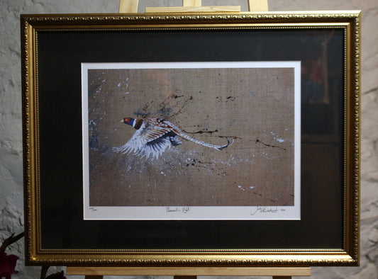 Framed Pheasant in Flight