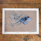 Artist Print/Poster of a Black Grouse bird. Each Print is hand signed by artist Jack Fetherstonhaugh. Artwork available at www.jackfethers.com