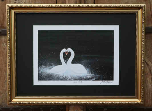 Framed Swan No.2