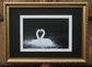 Framed Swan No.2 by Jack Fetherstonhaugh – photo 1 of 2