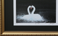 Framed Swan No.2 by Jack Fetherstonhaugh – photo 2 of 2