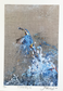 Framed Kingfisher with Fish by Jack Fetherstonhaugh – photo 6 of 6