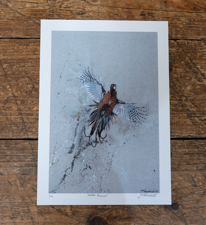 Framed Golden Pheasant by Jack Fetherstonhaugh – photo 2 of 7