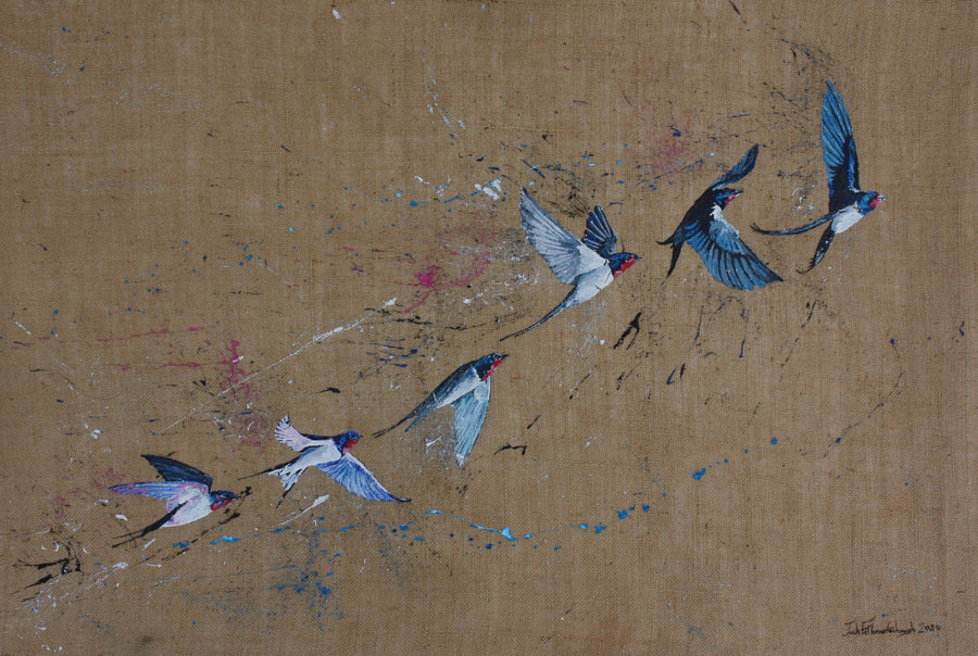 Study of Swallows limited edition signed print close-up