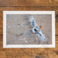 Artist Print/Poster of a English Partridge bird. Each Print is hand signed by artist Jack Fetherstonhaugh. Artwork available at www.jackfethers.com