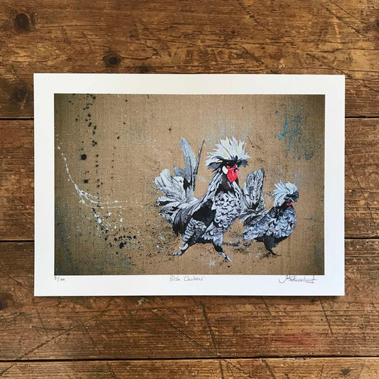 Polish Chicken Print