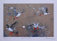 British Bird Art Prints by Jack Fetherstonhaugh – photo 7 of 9