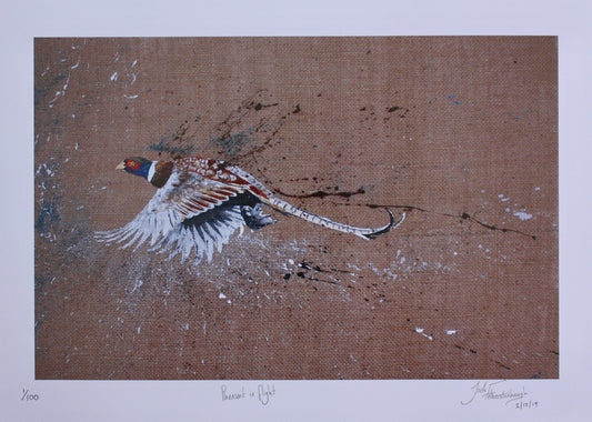 Framed Pheasant in Flight