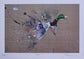 British Bird Art Prints by Jack Fetherstonhaugh – photo 8 of 9