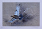 British Bird Art Prints by Jack Fetherstonhaugh – photo 6 of 9